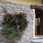 Cottage Rose