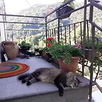 Le Girandole