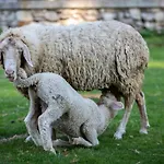 Agriturismo Le Radici