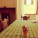 House Of Cats
