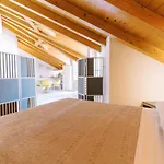 Casa King