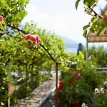 My Holidays - Giardino E Montagna