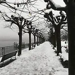 Aria Lake Relax Cernobbio
