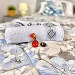 Elegant Apartment- 8 Mins Walk To Center - Free Parking