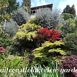 Suitecastlelakeview 1