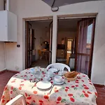 Cipresso 22