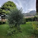 Mandello Panoramico