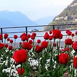 Casa Patricia3 - Como Lago - Centro Storico