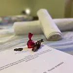 La Casa Del Poeta