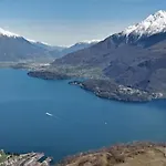 Ulivi On The Lake