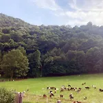 Iris - Relaxing Alpine Getaway At Ballabio