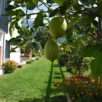 Il Giardino Dei Ciliegi