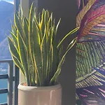 Lake Como Ti Amo