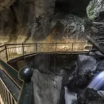 La Mimosa Di Bellano