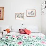 Palma 9