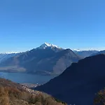 Ulivi On The Lake