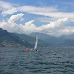 Ulivi On The Lake