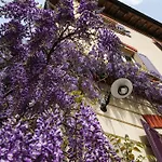 Antica Dimora I Faggi Di San Giorgio