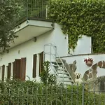Roof Garden Home