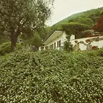 Roof Garden Home