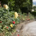 Villa Morosini - Free Parking