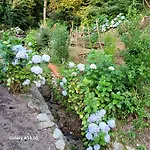 La Casetta Nel Verde