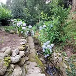 La Casetta Nel Verde
