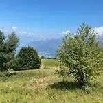 La Coccinella