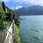 Lakeside Serenity