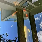 Villa Koi Una Terrazza Sul Lago