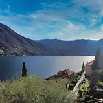 Regina Nuova 13