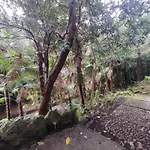 The Garden House