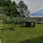 Ulivi On The Lake