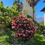 Villa Lago Ground Floor- Pet Friendly Stay-Private Garden-Parking-Lake View - Bike Friendly Holiday House