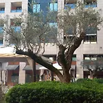 Bilocale Con Terrazzo E Box Auto Su Richiesta
