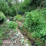 La casetta nel verde