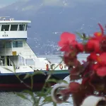 Charming Glicine And Azalea House Art And Colour With Lakeview