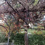 Villa Stefy