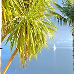 Palm Bay Garden