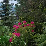 B&B Le Ortensie -Lago Di Como