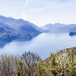Il Nido