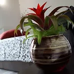 Casa Gardenia