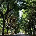 La Dimora Del Viandante - Como Lake