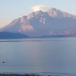 Ai Due Vecchi Ulivi