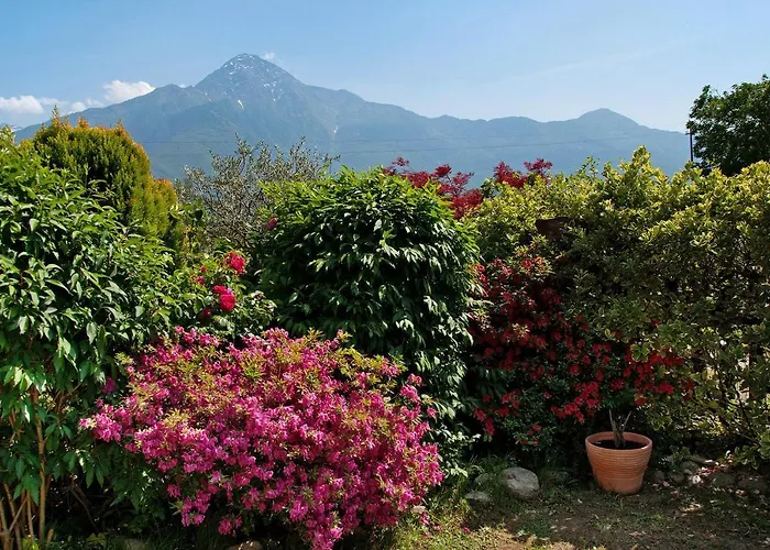 Casa Vacanze Al Boschetto