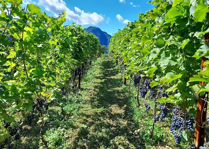 Cascina Teresina