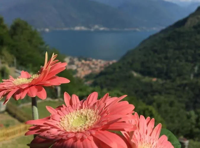 Angolo Di Lago