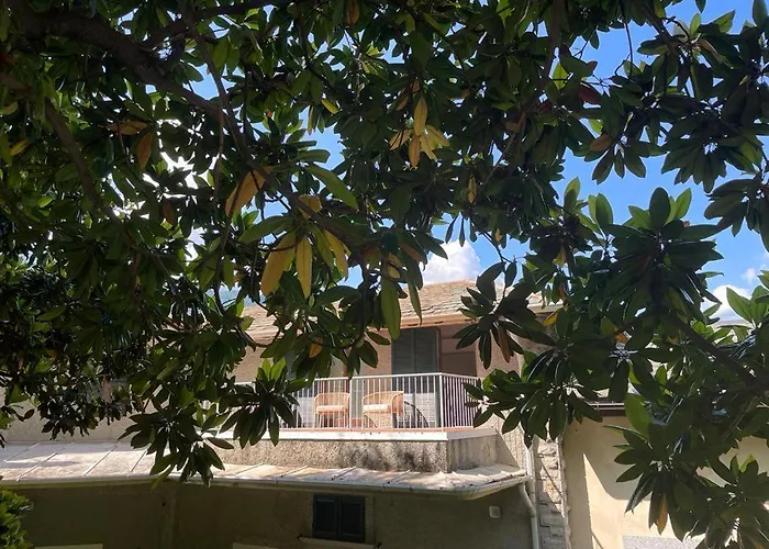 Una Magnolia In Cademartori