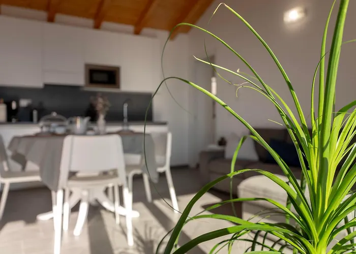 Delfina Home Mansarda