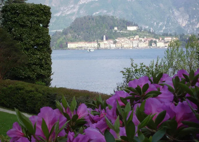 Charming Glicine And Azalea House Art And Colour With Lakeview